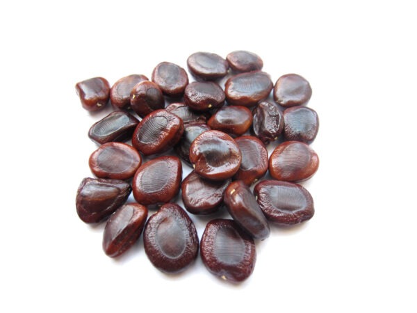 Ambalia