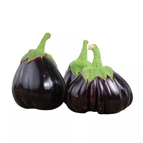 Aubergine - Kenyan