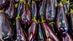 Aubergine - Long Ravaya