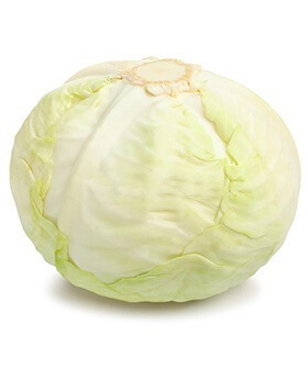 Cabbage - White