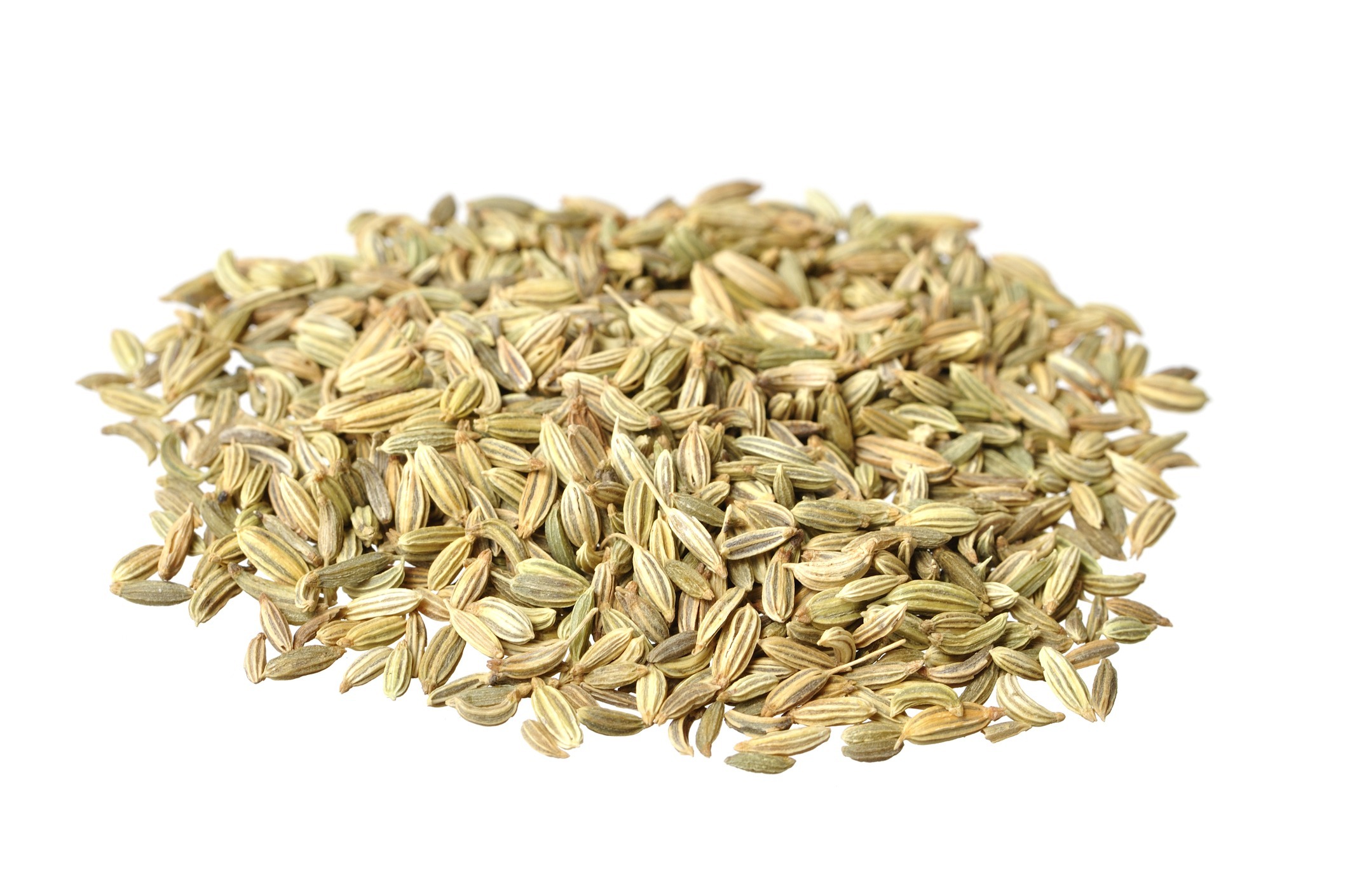 Fennel Seeds