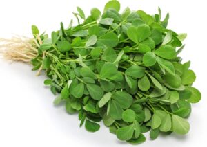 Fenugreek / Methi