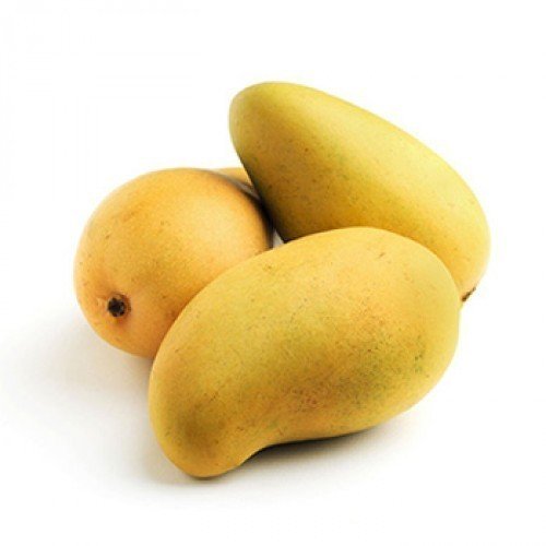 Kesar Mango - 12 Pack