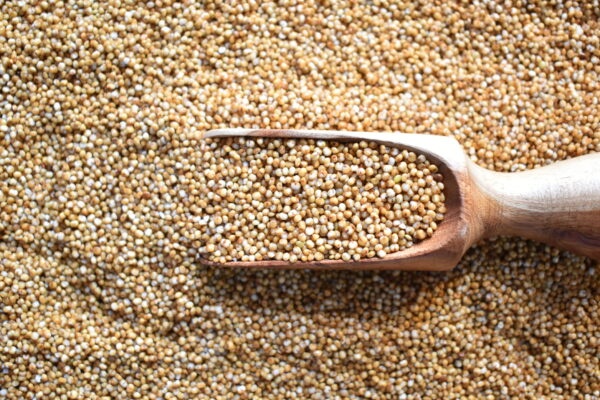 Kodri Seeds