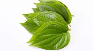 Paan Leaves