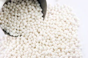 Sago Seeds