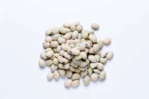 Val Beans