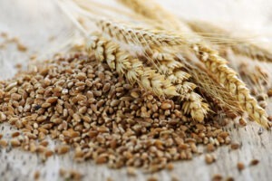 Whole Wheat